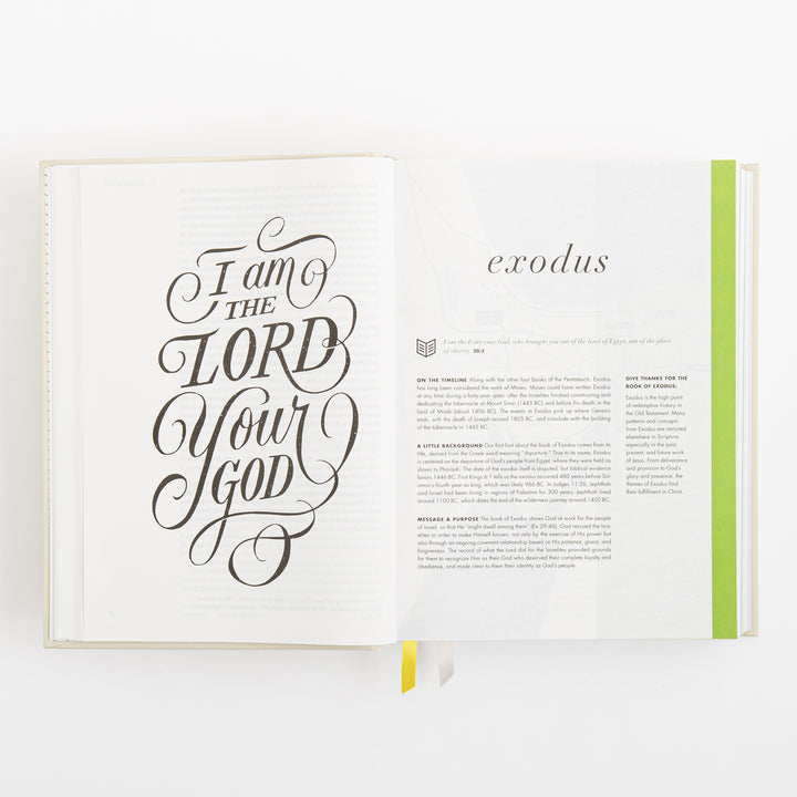 CSB She Reads Truth Bible - Hardcover - Cream