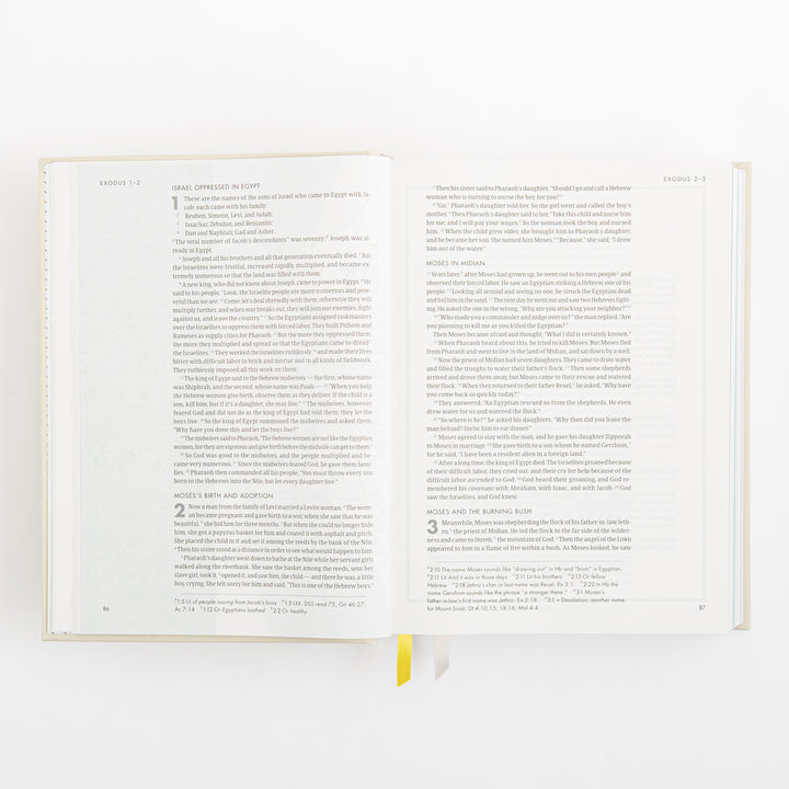 CSB She Reads Truth Bible - Hardcover - Cream
