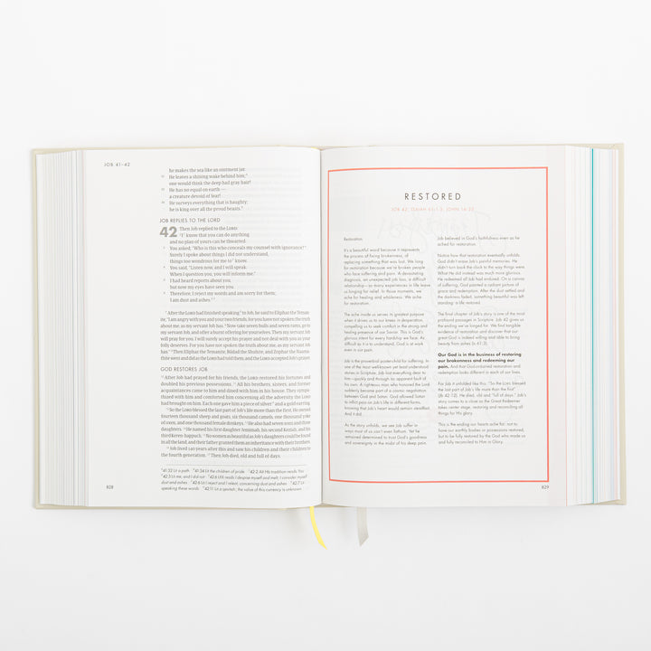 CSB She Reads Truth Bible - Hardcover - Cream