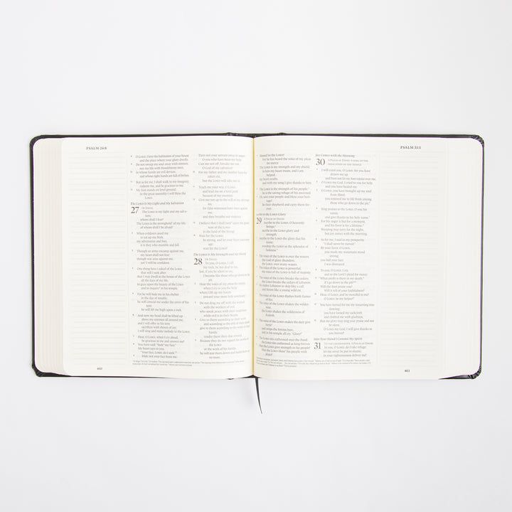 ESV Journaling Bible - Black - Original