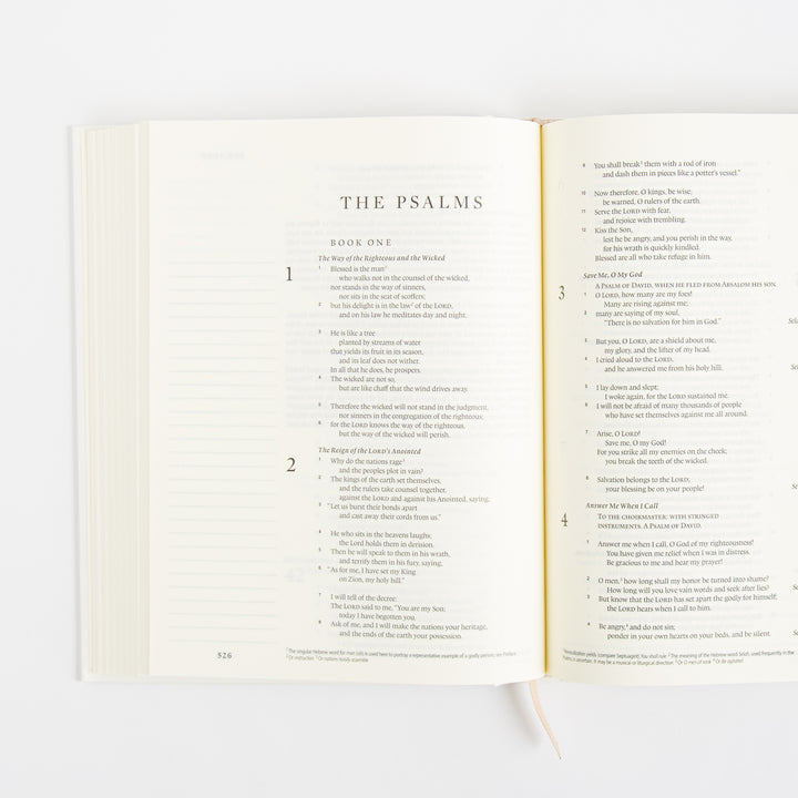 ESV Single Column Journaling Bible - Hardcover - Customizable Cover