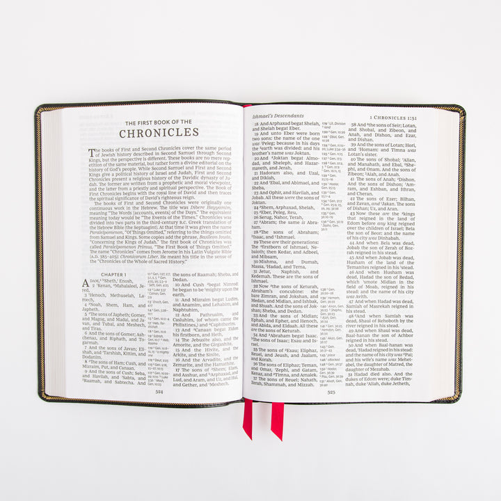 KJV Deluxe Reference Bible - Giant Print - Cross References - Red Letter - Deluxe Leathersoft - Black