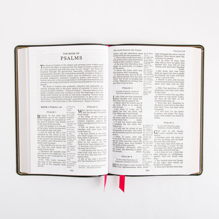 KJV Deluxe Reference Bible - Giant Print - Cross References - Red Letter - Deluxe Leathersoft - Black