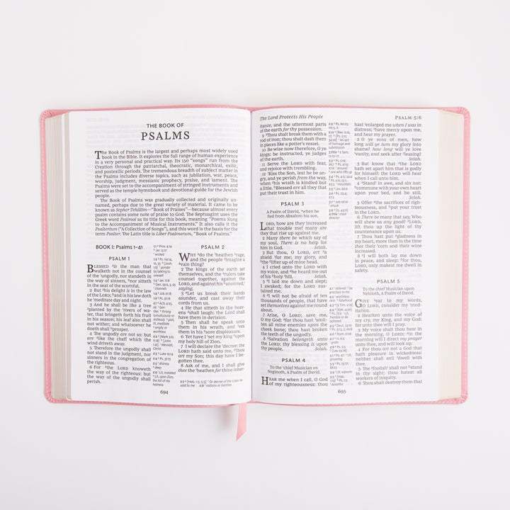 KJV Holy Bible - Large Print - Cross References - Leathersoft - Pink - Red Letter