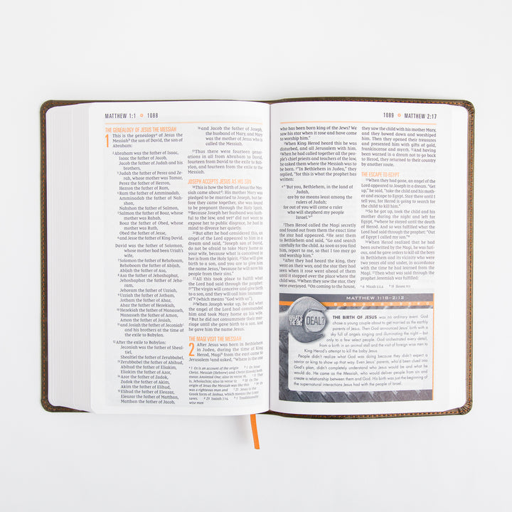 NIV Boys Bible - Leathersoft - Brown Camo - Comfort Print