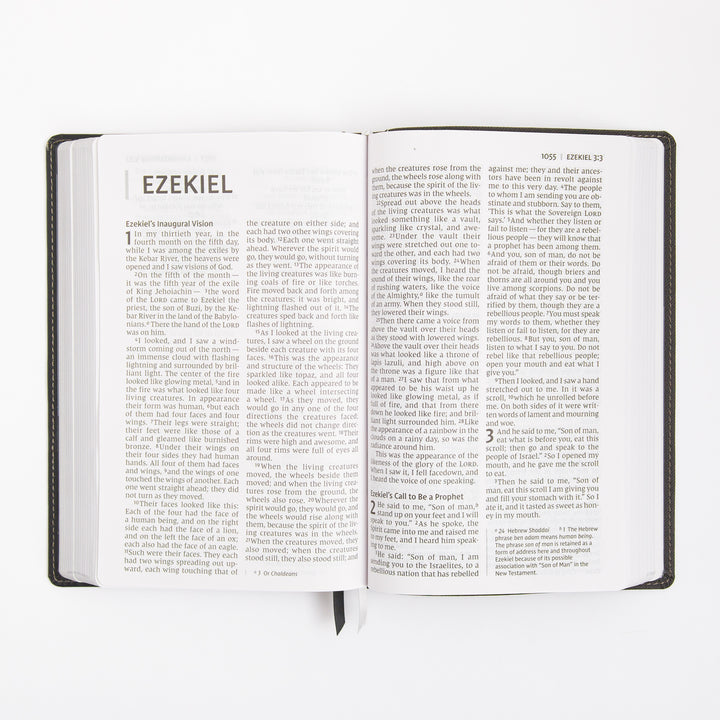 NIV Personal Size Bible - Large Print - Red Letter - Leathersoft - Black