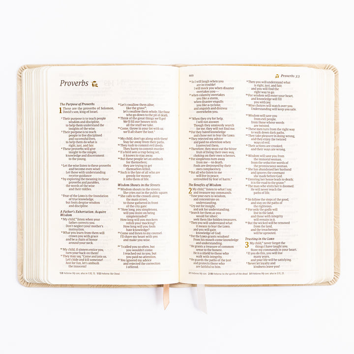 NLT Compact Bible - Sonora Theme