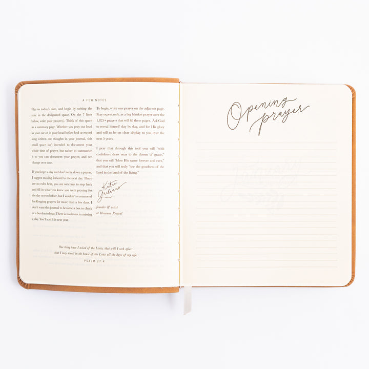 One Thing I Ask 5-Year Prayer Journal - Amelia Theme