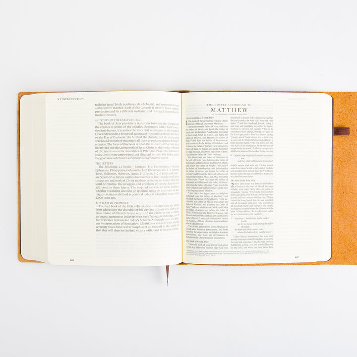 ESV Journaling Bible - Brown - Natural Leather - Flap with Strap