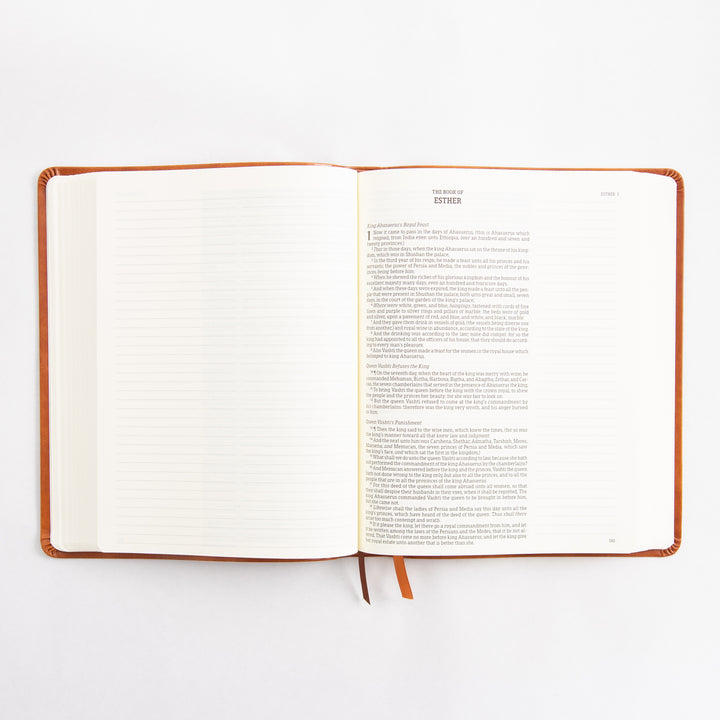 KJV Large Print Notetaking Bible - Leather Like - Vienna Theme