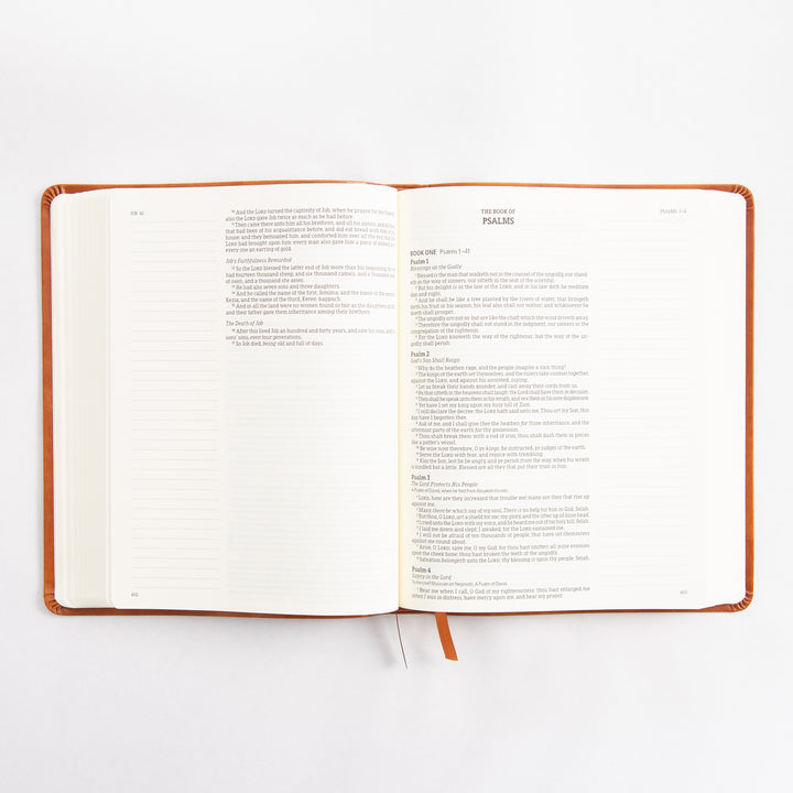 KJV Large Print Notetaking Bible - Leather Like - Vienna Theme