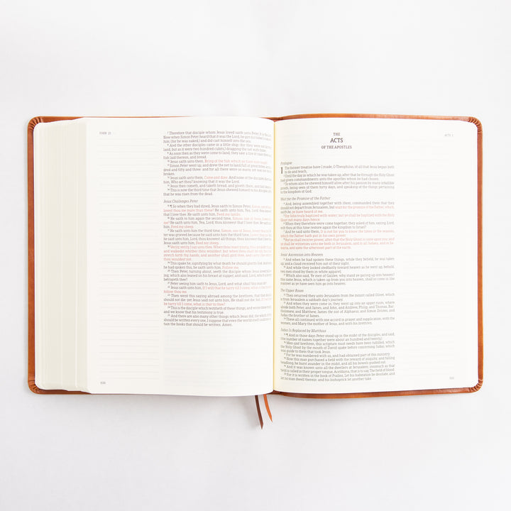 KJV Large Print Notetaking Bible - Leather Like - Vienna Theme