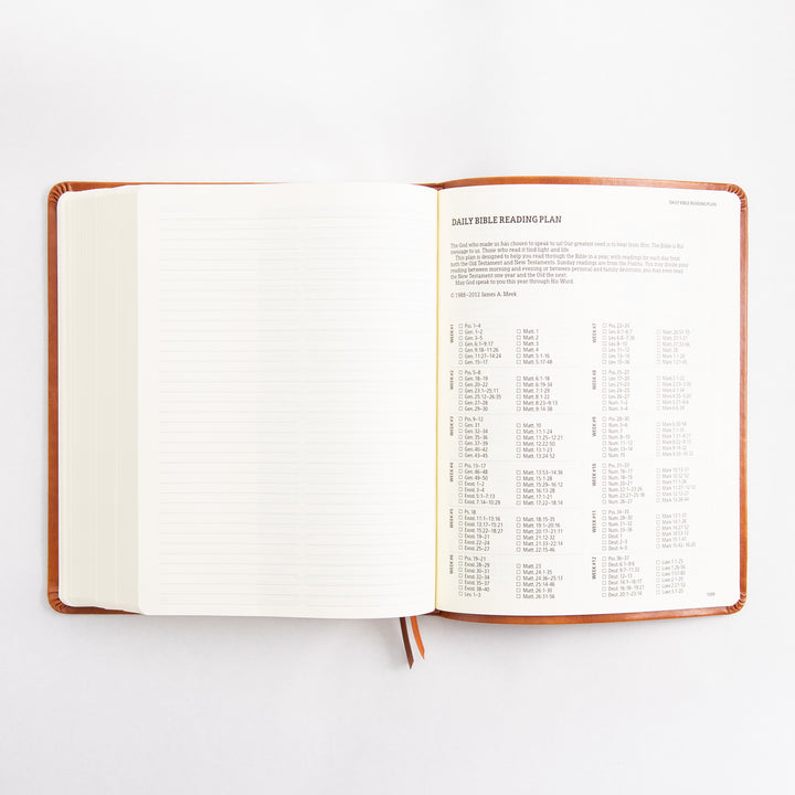 KJV Large Print Notetaking Bible - Leather Like - Vienna Theme