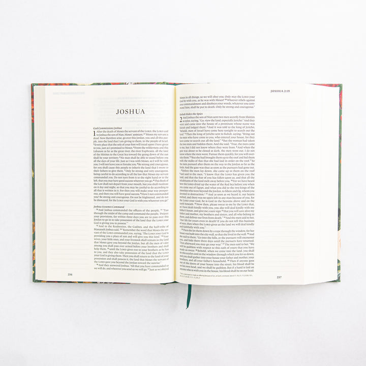 ESV Large Print Journaling Bible - Hardcover - Hollis Theme