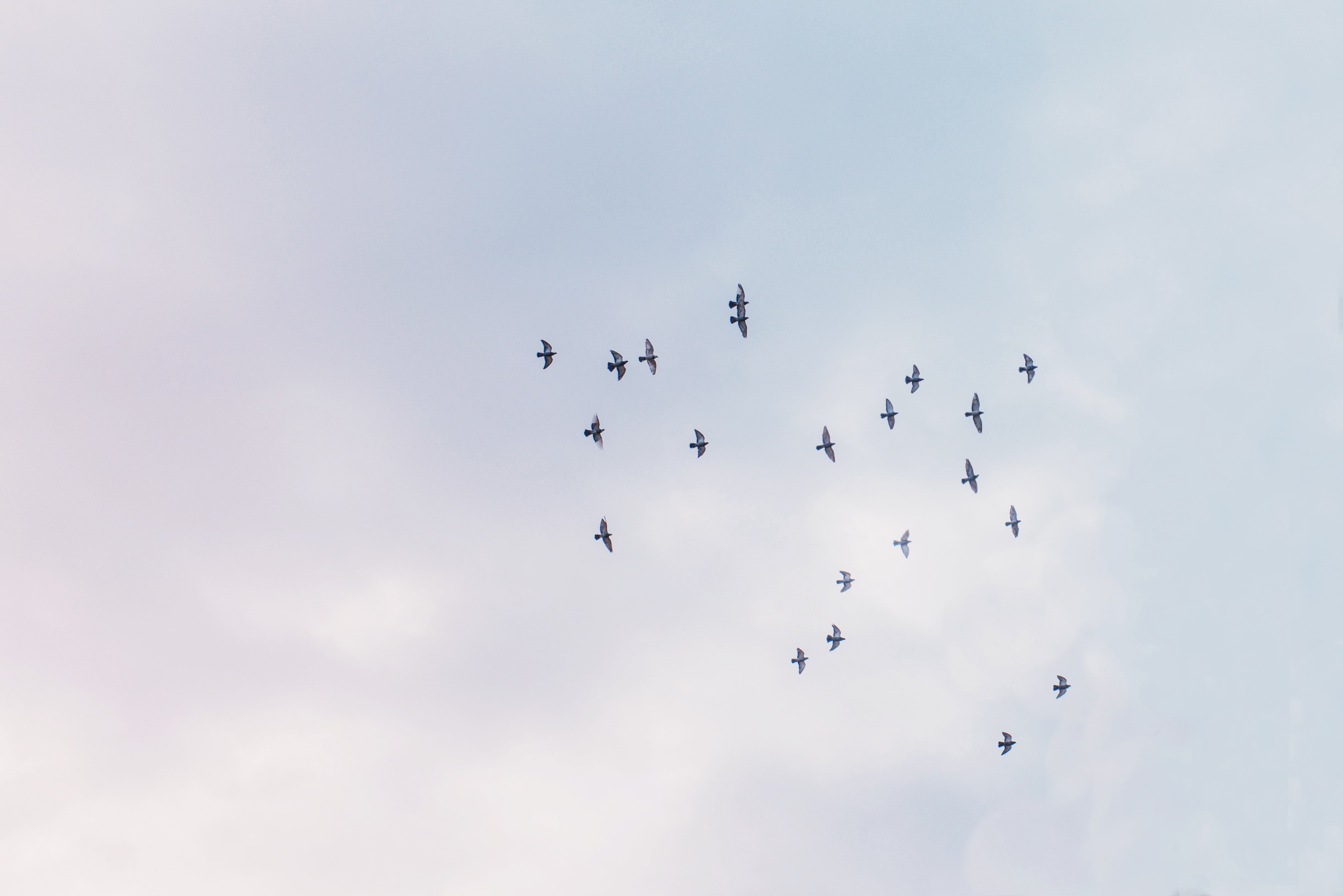 Living With Awe & Wonder In God's Creation
