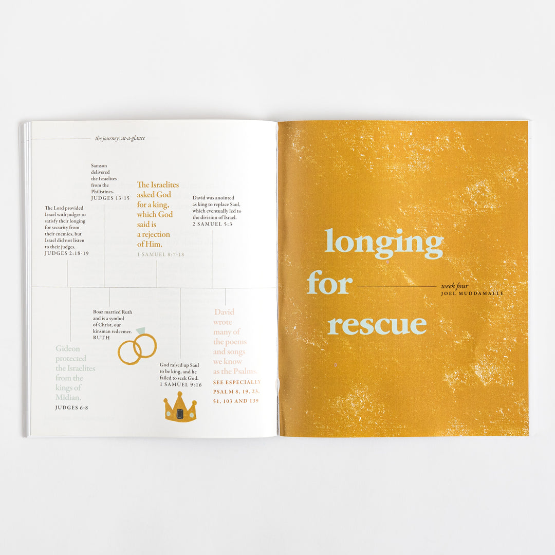 40 Days Through the Bible - The Answers to Your Deepest Longings - Lysa TerKeurst