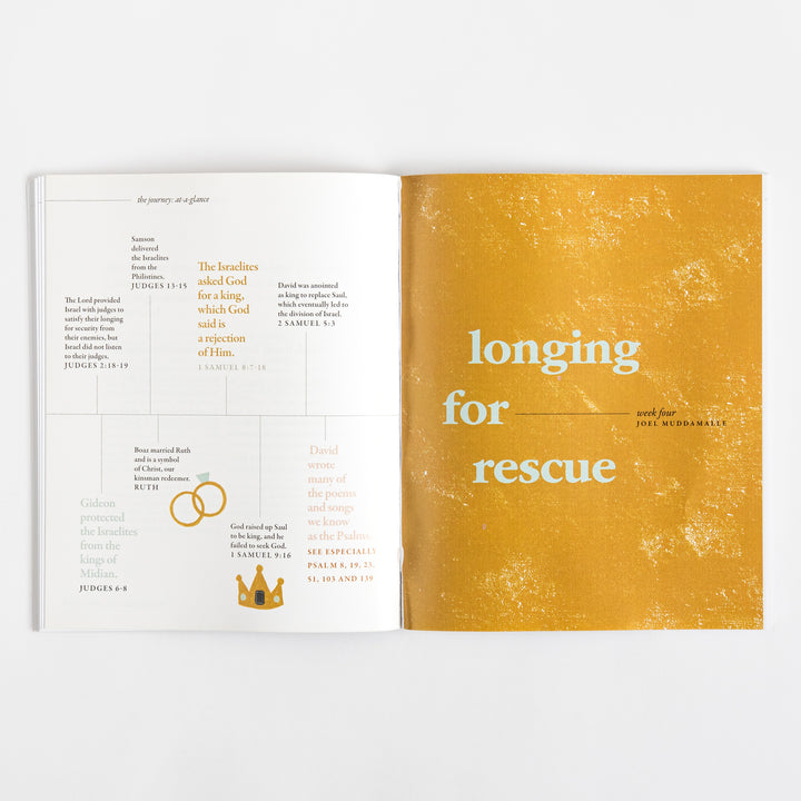 40 Days Through the Bible - The Answers to Your Deepest Longings - Lysa TerKeurst