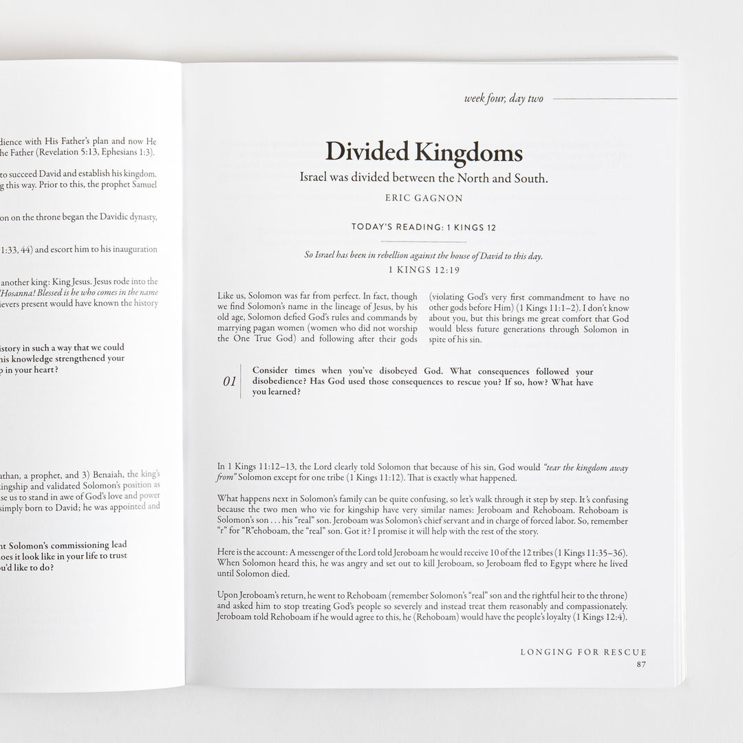 40 Days Through the Bible - The Answers to Your Deepest Longings - Lysa TerKeurst