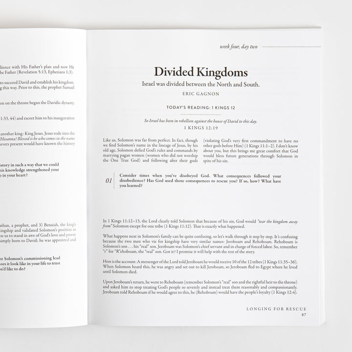 40 Days Through the Bible - The Answers to Your Deepest Longings - Lysa TerKeurst