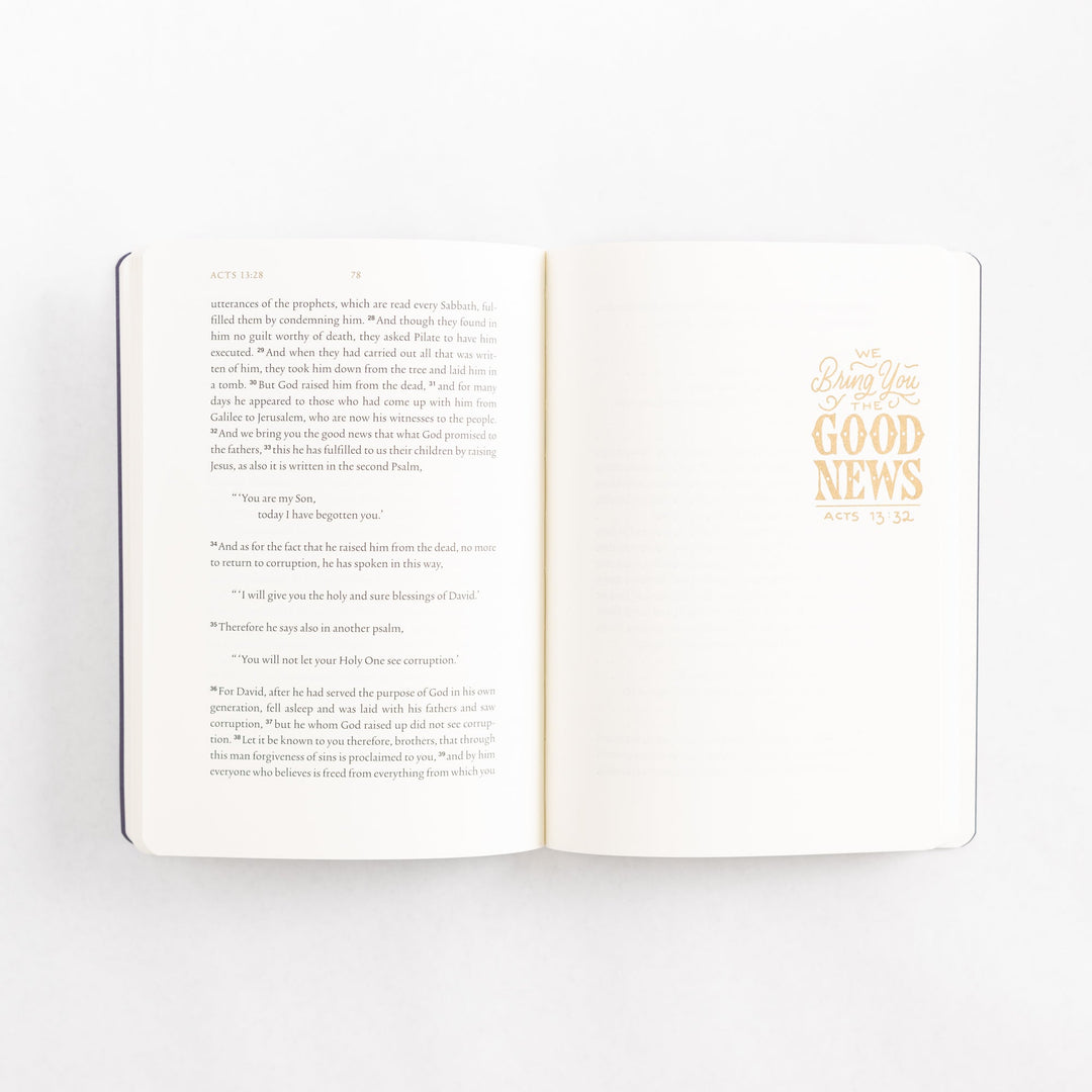 ESV Illuminated Scripture Journal: Acts