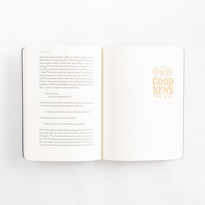 ESV Illuminated Scripture Journal: Acts