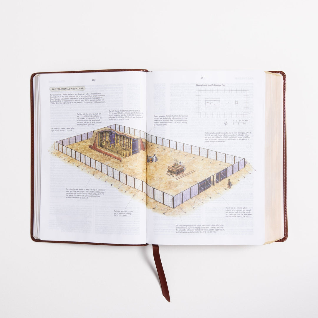 ESV Study Bible - Celtic Imprint - TruTone