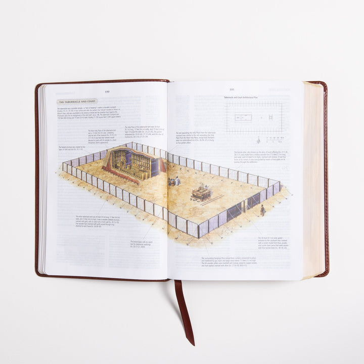 ESV Study Bible - Celtic Imprint - TruTone