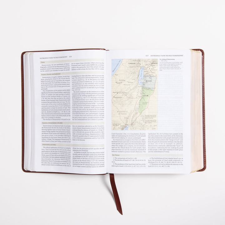 ESV Study Bible - Celtic Imprint - TruTone