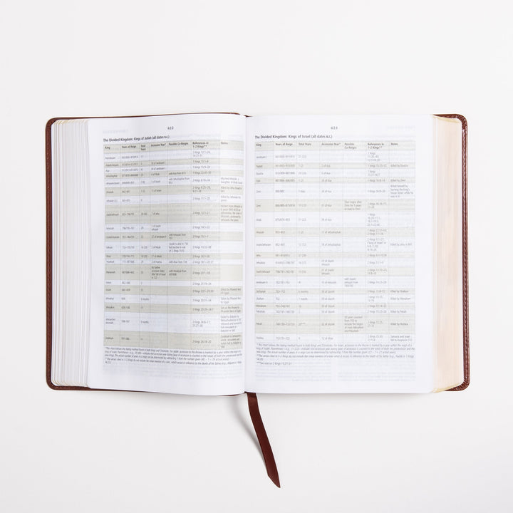 ESV Study Bible - Celtic Imprint - TruTone