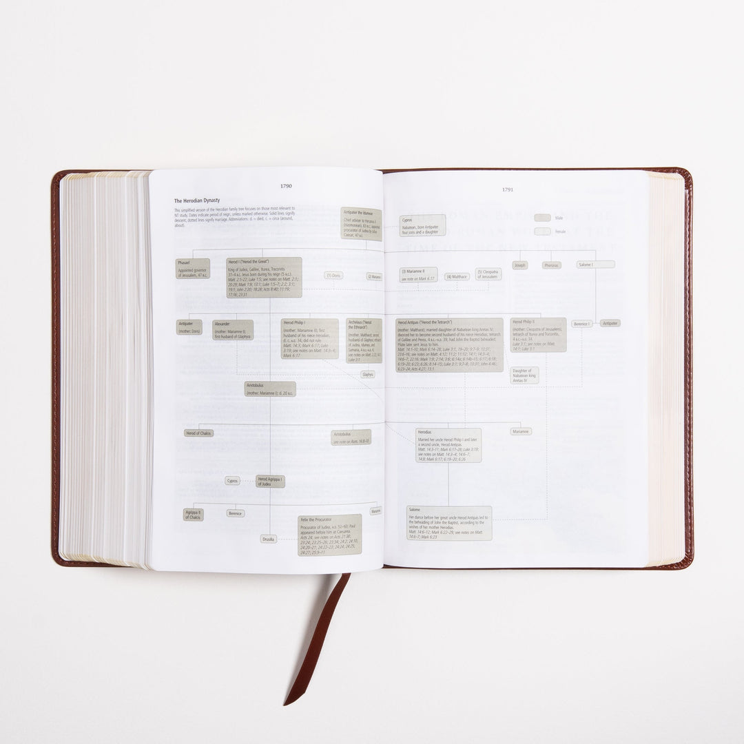 ESV Study Bible - Celtic Imprint - TruTone