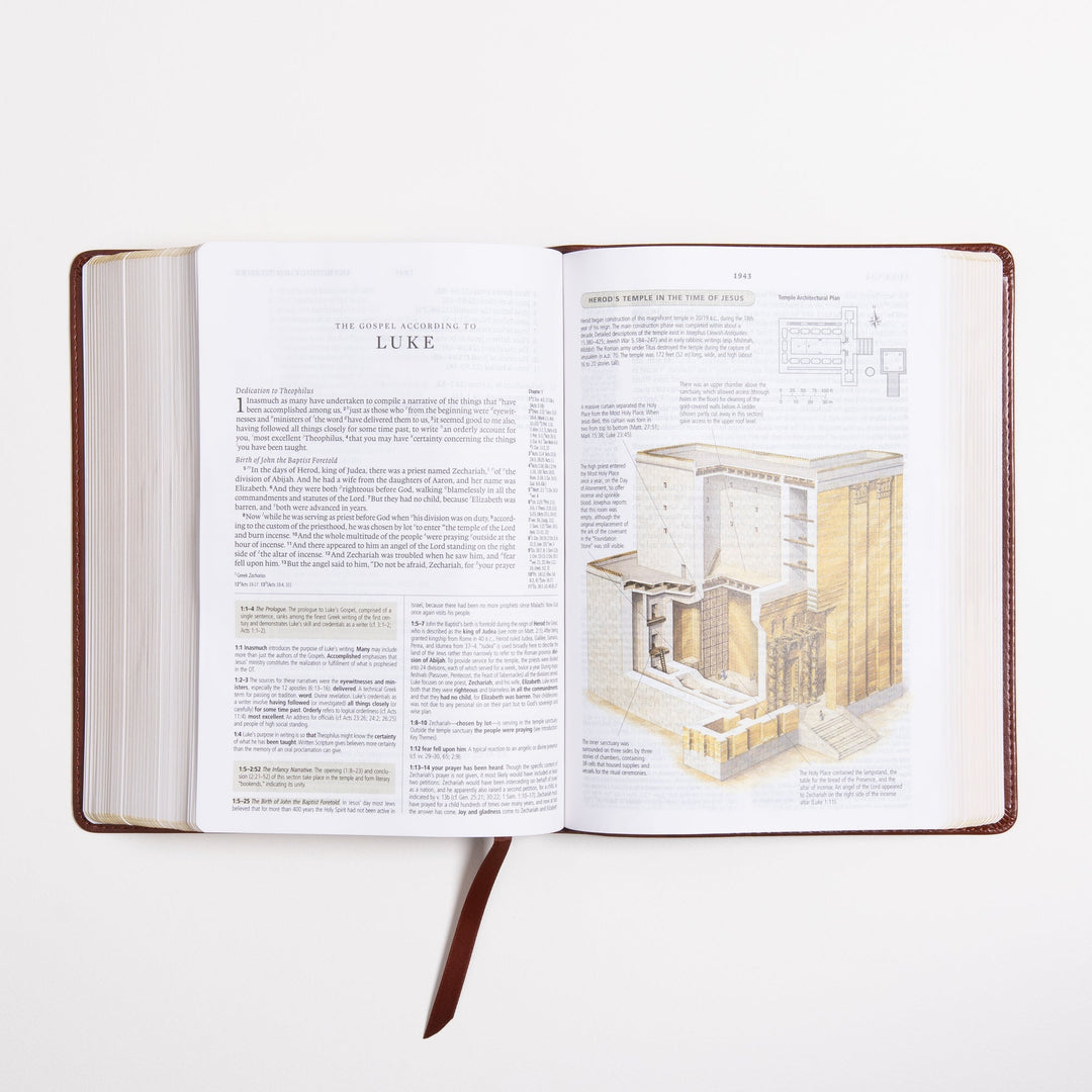 ESV Study Bible - Celtic Imprint - TruTone