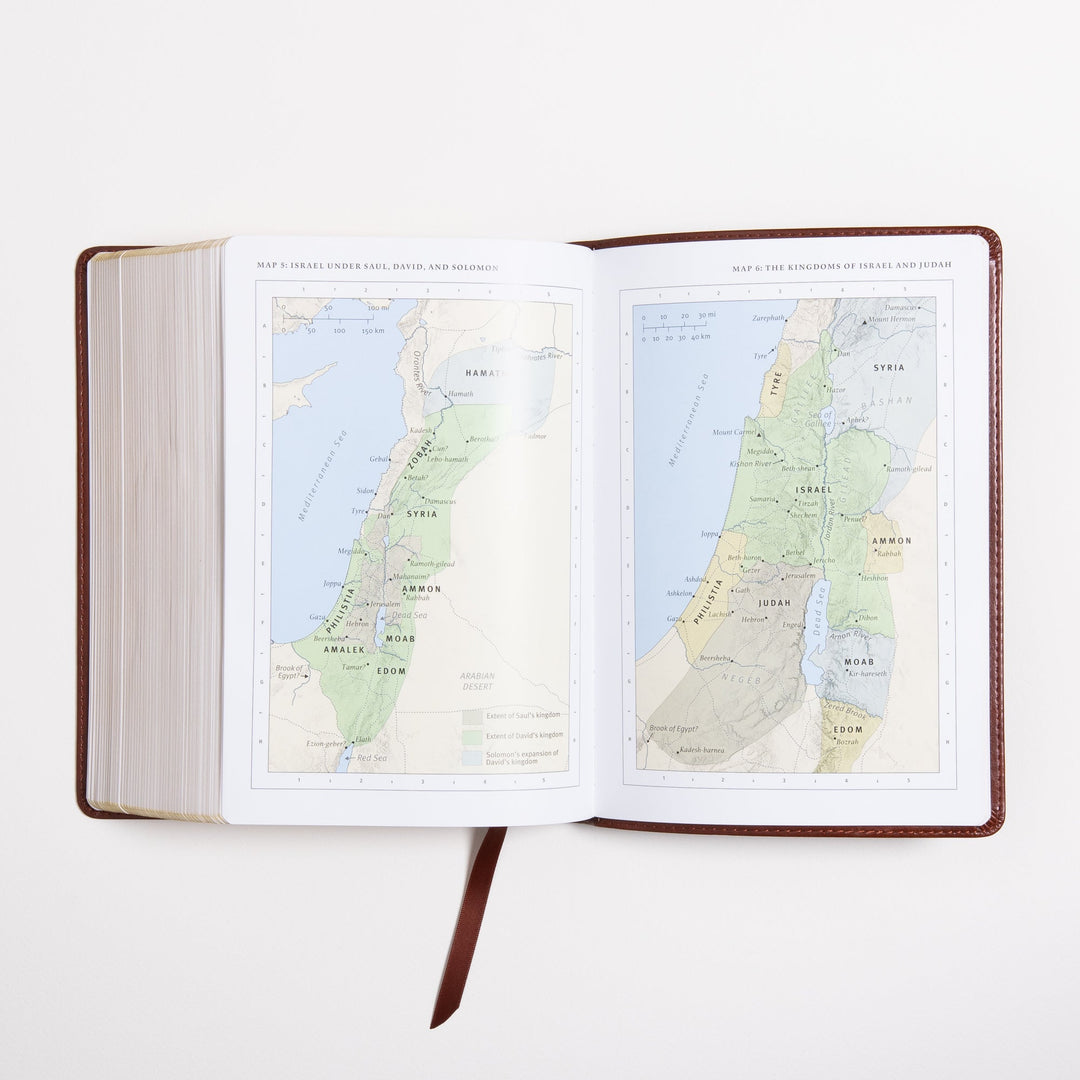 ESV Study Bible - Celtic Imprint - TruTone