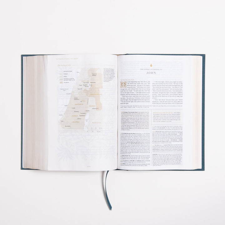ESV Women's Study Bible - Dark Teal - Cloth over Board
