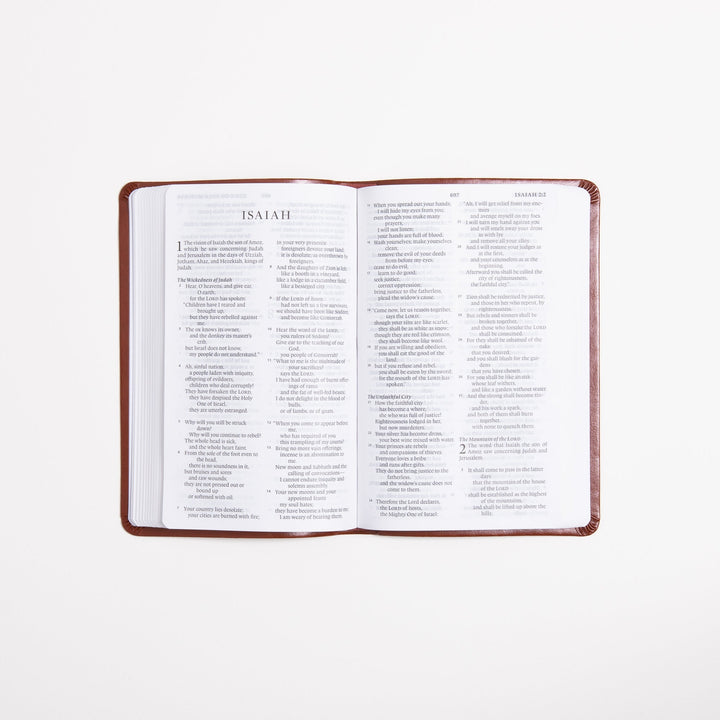 ESV Large Print Value Thinline Bible - Tan - TruTone - Ornament Design