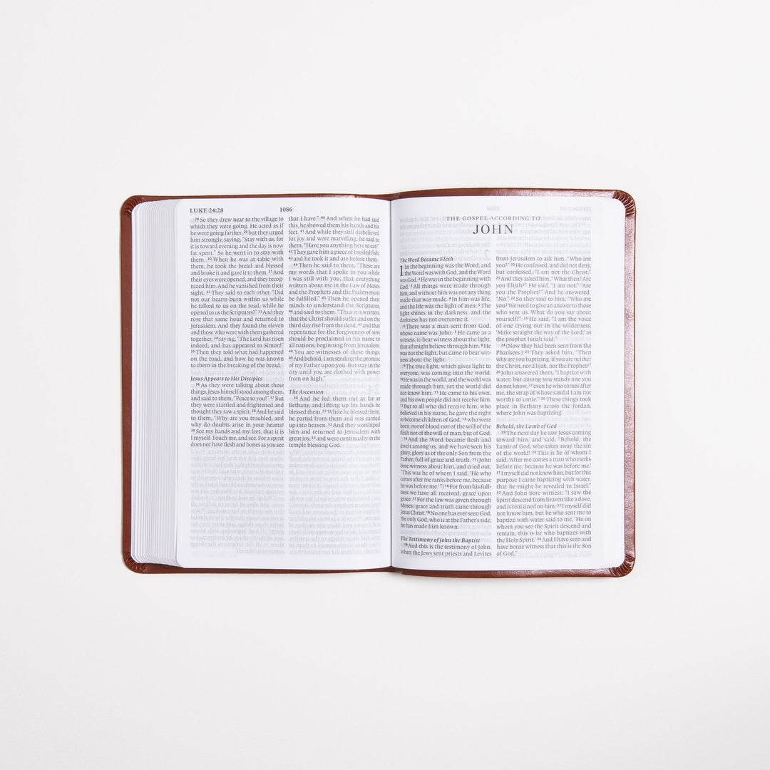 ESV Large Print Value Thinline Bible - Tan - TruTone - Ornament Design