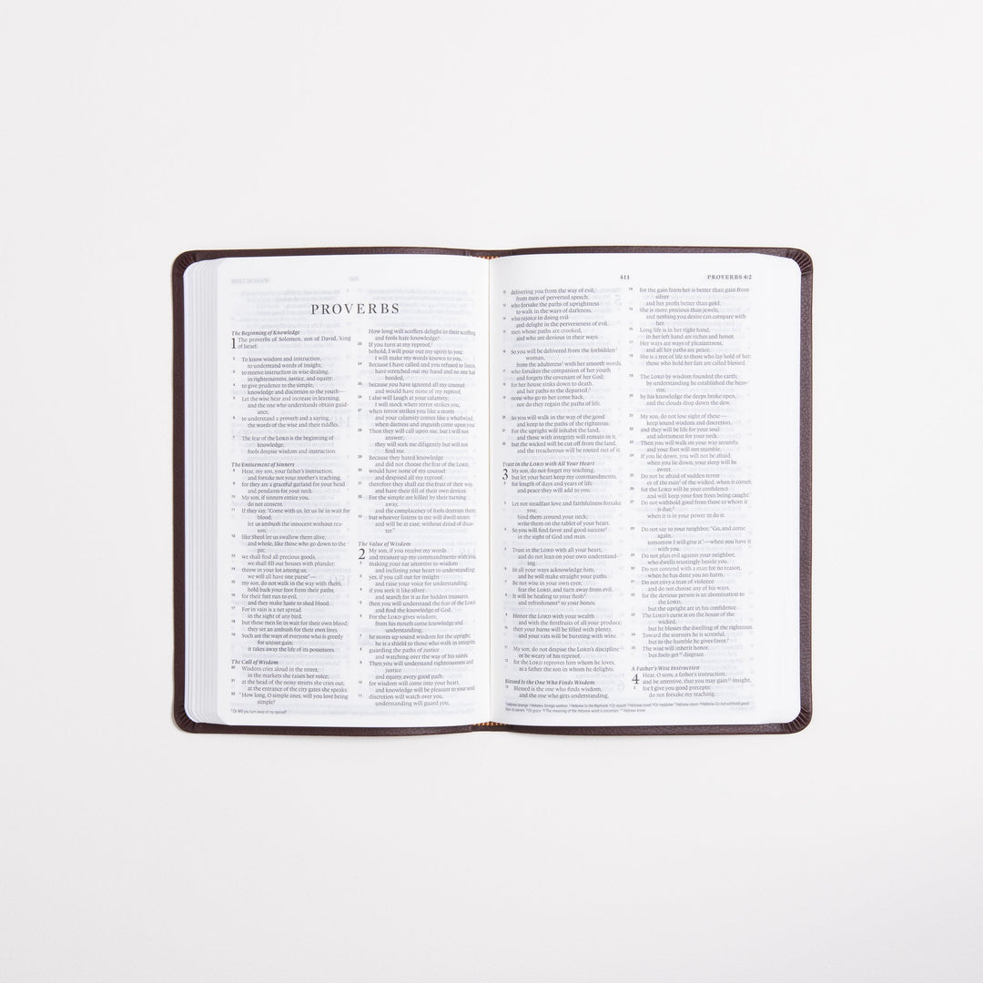 ESV Value Thinline Bible - Chestnut - TruTone - Filigree Design