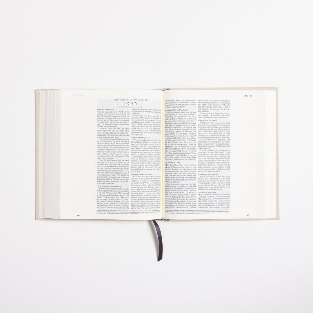 ESV Journaling Bible - Flowers - Cloth over Board - Large Margins