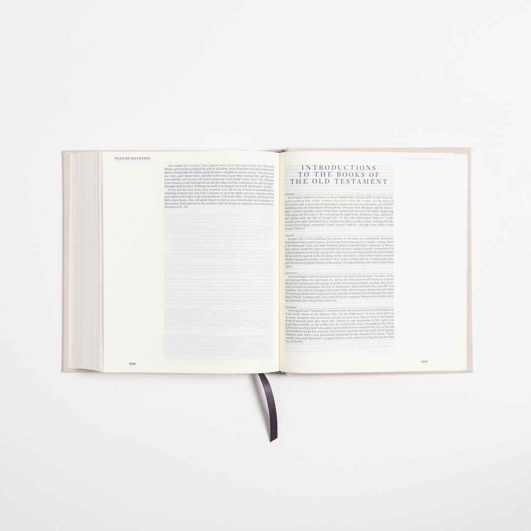 ESV Journaling Bible - Flowers - Cloth over Board - Large Margins