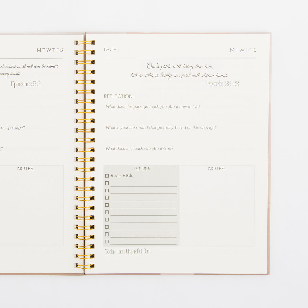 Bible Journaling Kit for Women - Golden Blush Color Theme - Bible Study Supplies Journaling Kit