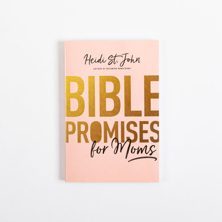 Straight-on front cover of the blush-pink paperback book &