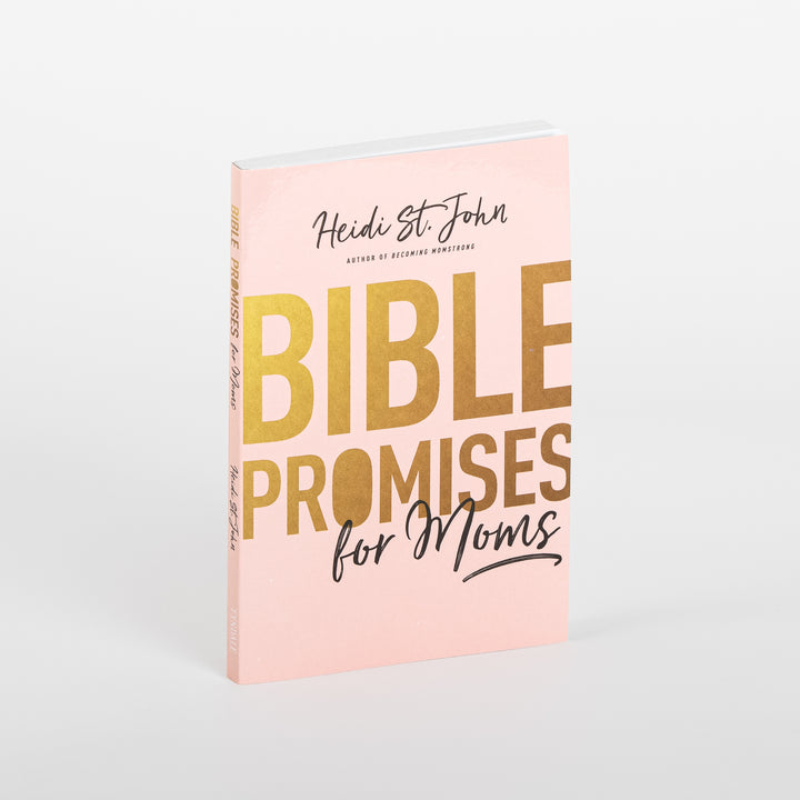 Angled product photo of the blush-pink paperback book &