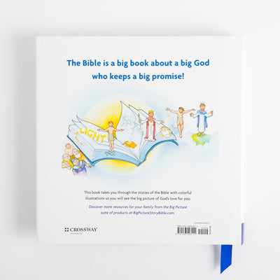 The Big Picture Story Bible