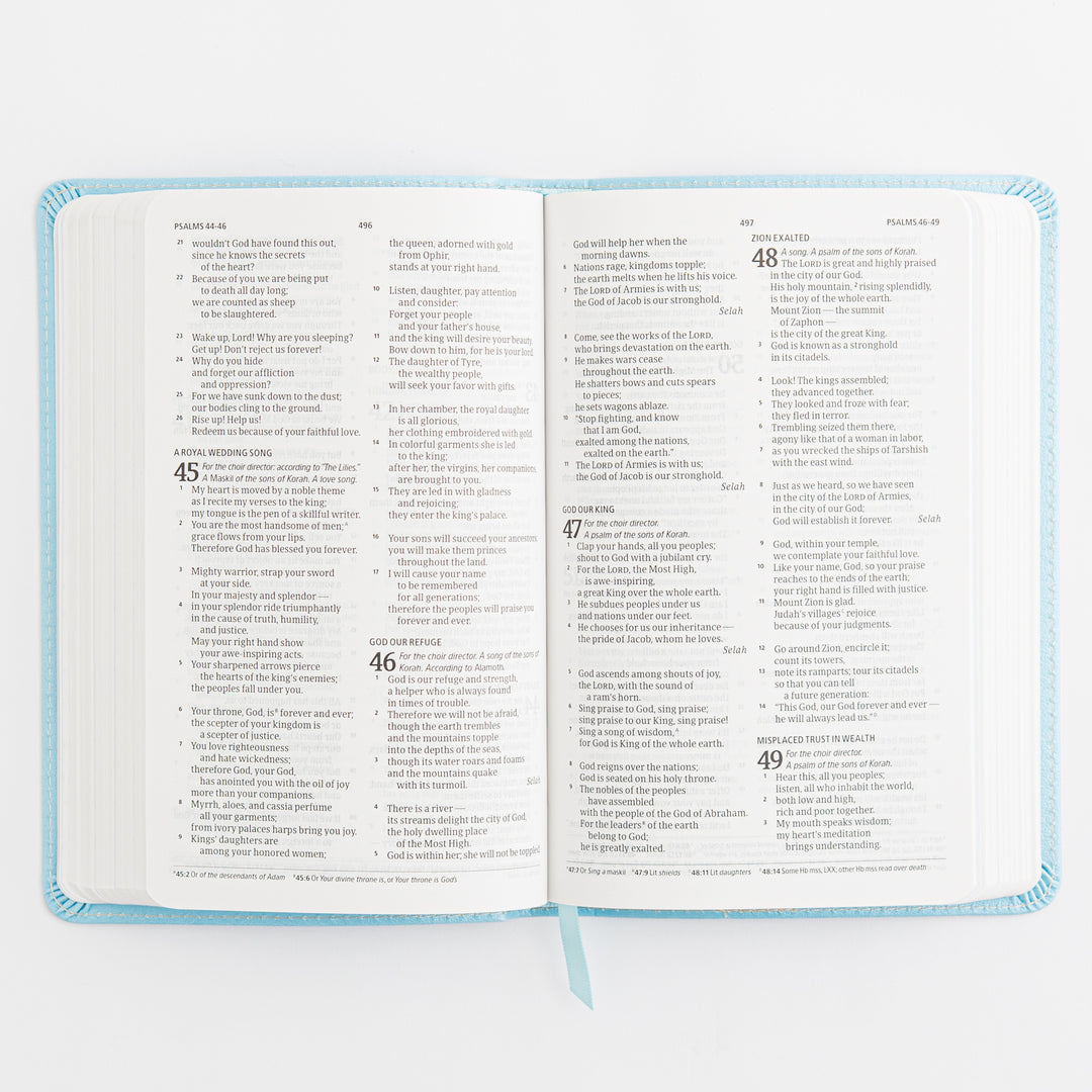 CSB Great and Small Bible, Blue LeatherTouch