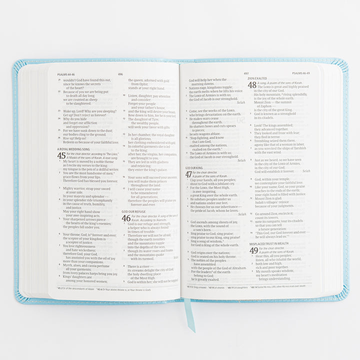 CSB Great and Small Bible, Blue LeatherTouch