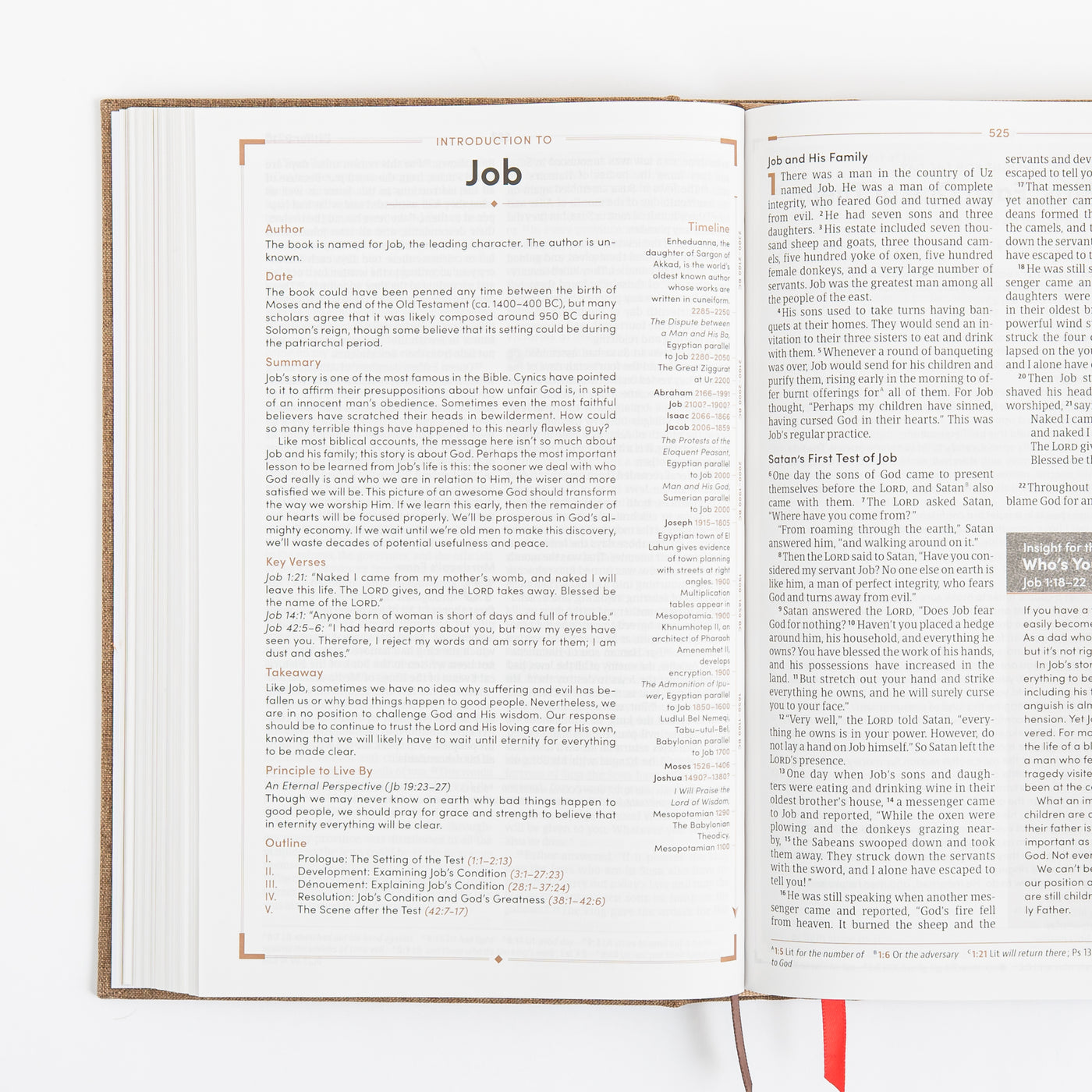 CSB Men's Daily Bible - Hardcover