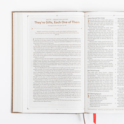 CSB Men's Daily Bible - Hardcover