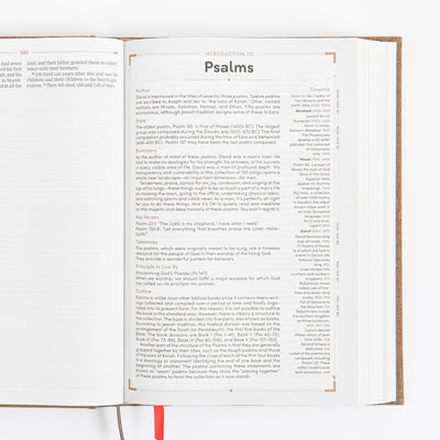 CSB Men's Daily Bible - Hardcover