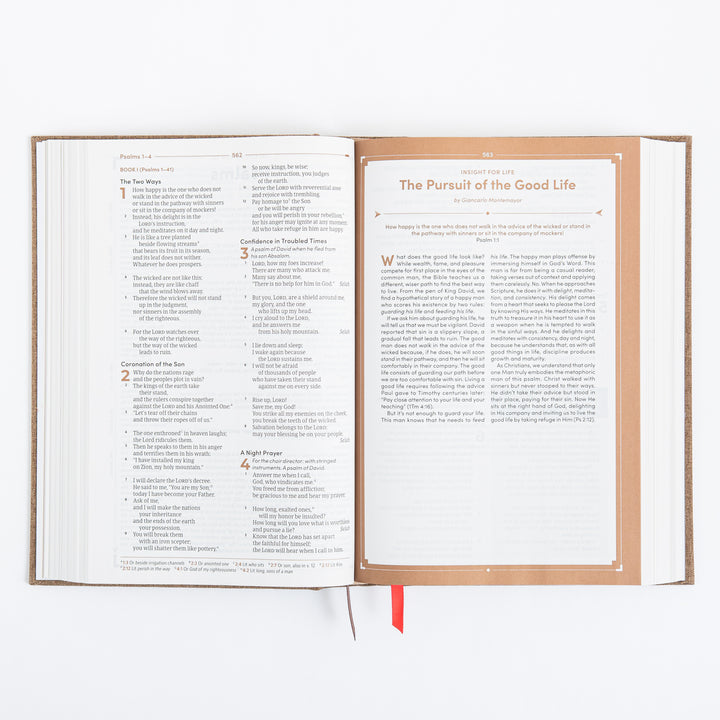 CSB Men's Daily Bible - Hardcover