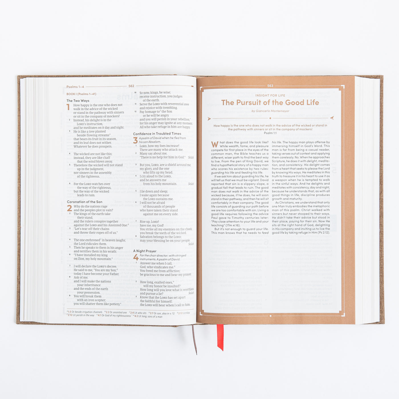 CSB Men's Daily Bible - Hardcover