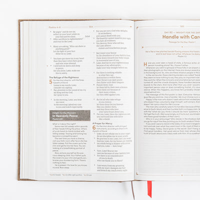 CSB Men's Daily Bible - Hardcover